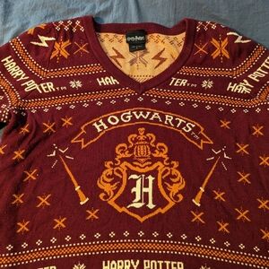 Torrid Harry Potter sweater